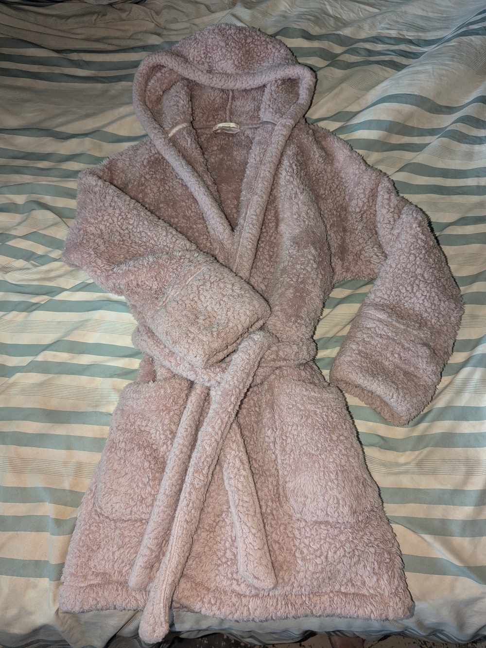 Z Supply Pale Pink Teddy Sherpa Hooded Jacket